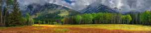 Bow Valley Parkway