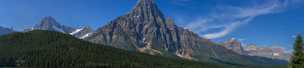 Waterfowl Lake