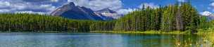 Herbert Lake