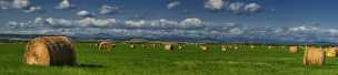 Farmland