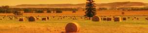 Farmland