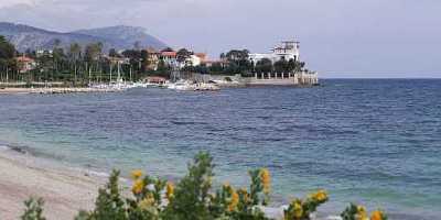 shareimage