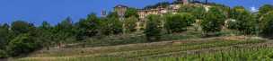 Moissac Bellevue