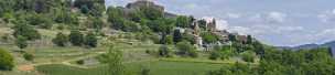Saint Martin de Castillon