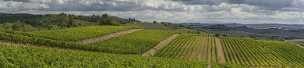 Lilliano