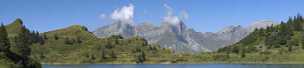 Truebsee