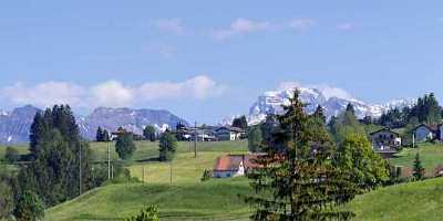 shareimage