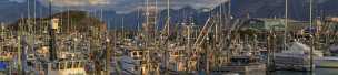 Harbor