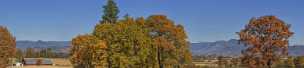 Greenview
