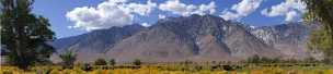 Lone Pine