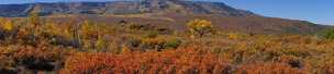 Grand Mesa