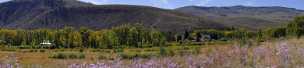 Almont