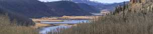 Creede