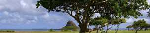 Kualoa Beach Park