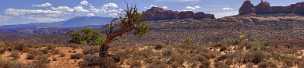 Elephant Butte