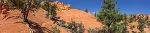 Birdseye Trail