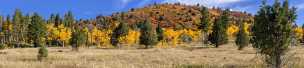 Yellow Pine Creek