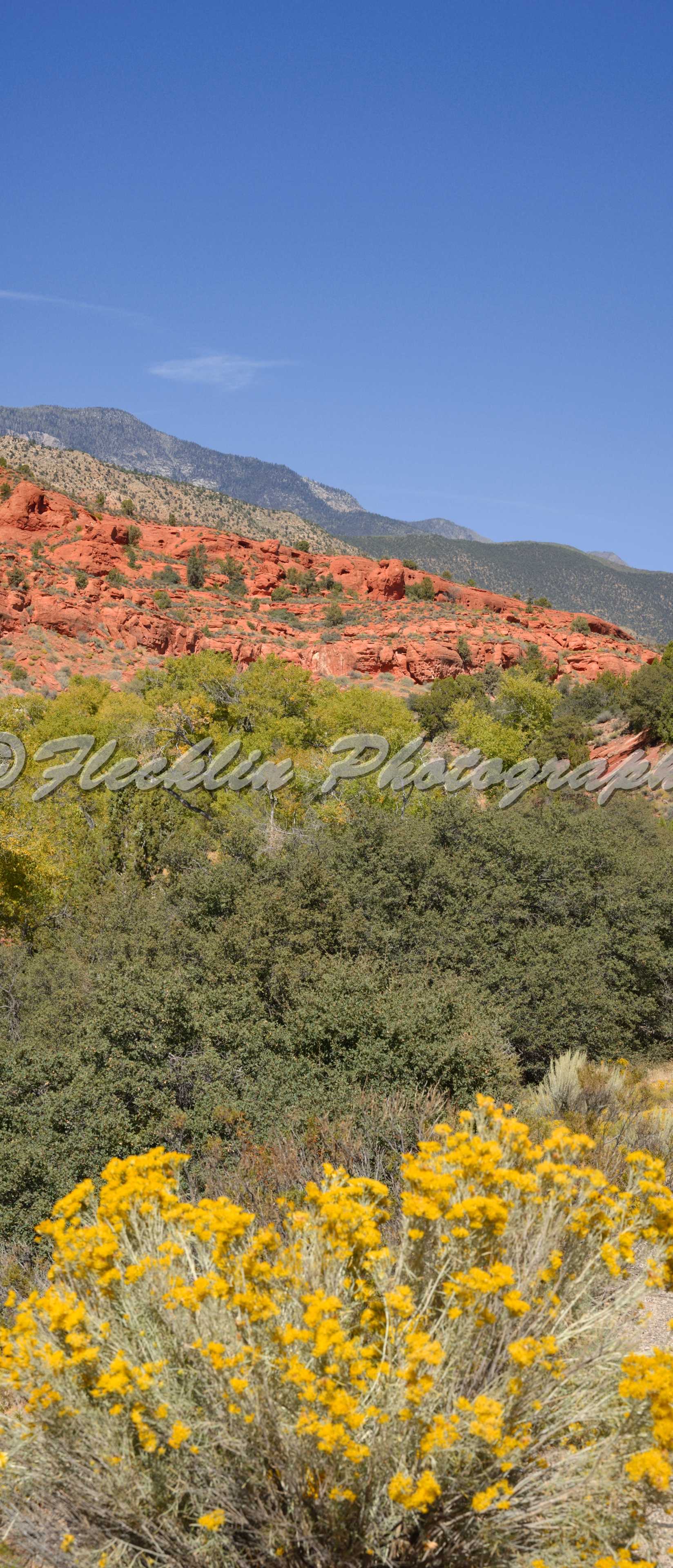 Pine Valley Mountains Swiss Panorama Shop, buy high ...