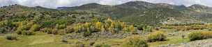 Bear Valley Road