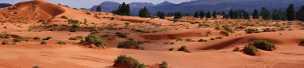 Coral Pink Sand Dunes