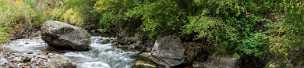 Cottonwood Canyon