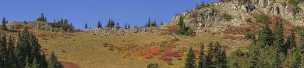 Chinook Pass