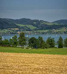 Nussdorf Attersee Salzburg Corn Field Farm Lake Village Fine Art Photos Art Printing Pass Creek - 024682 - 11-07-2015 - 7286x8120 Pixel Nussdorf Attersee Salzburg Corn Field Farm Lake Village Fine Art Photos Art Printing Pass Creek Stock Images Stock Pictures Ice Fine Art Pictures Royalty Free...