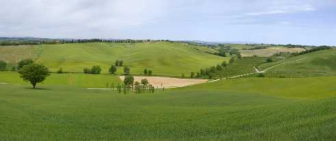 Buonconvento Buonconvento - Tuscany - Toscana - Toskana - Italy - Hill - Hügel - Spring - Color - Colorful - Outlook - Overlook -...