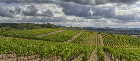 Lilliano Lilliano - Tuscany - Toscana - Toskana - Italy - Hill - Hügel - Spring - Color - Colorful - Outlook - Overlook -...