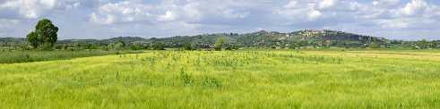 Lucignano Lucignano - Tuscany - Toscana - Toskana - Italy - Hill - Hügel - Spring - Color - Colorful - Outlook - Overlook -...