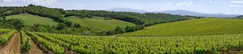 Montalcino Montalcino - Tuscany - Toscana - Toskana - Italy - Hill - Hügel - Spring - Color - Colorful - Outlook - Overlook -...