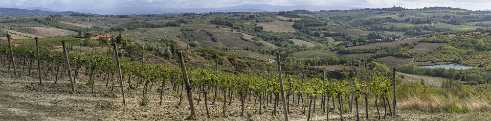 Montespertoli Montespertoli - Tuscany - Toscana - Toskana - Italy - Hill - Hügel - Spring - Color - Colorful - Outlook - Overlook -...