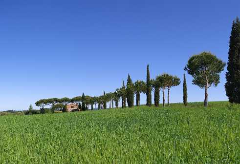 Monticchiello Monticchiello - Tuscany - Toscana - Toskana - Italy - Hill - Hügel - Spring - Color - Colorful - Outlook - Overlook -...