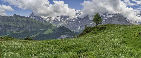 Guetschalp Guetschalp - Panoramic - Landscape - Photography - Photo - Print - Nature - Stock Photos - Images - Fine Art Prints -...