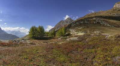 Maloja Sils Silsersee Engadin Lake Autumn Color Panorama Art Photography For Sale - 025342 - 09-10-2018 - 12537x6966 Pixel Maloja Sils Silsersee Engadin Lake Autumn Color Panorama Art Photography For Sale Royalty Free Stock Images Cloud Summer Photo Fine Art Images Island Fine Arts...