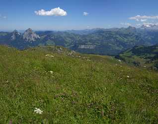 Stoos Mythen Schwyz Panorama Alpen Sommer Blumen Berge Art Photography For Sale Prints For Sale - 011306 - 01-08-2012 - 6917x5431 Pixel Stoos Mythen Schwyz Panorama Alpen Sommer Blumen Berge Art Photography For Sale Prints For Sale Nature Art Printing Fine Art Giclee Printing Fine Art Pictures...