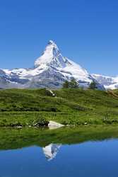 Leisee Matterhorn Sommerwiese Cloud River Island Grass Hi Resolution Animal Stock - 002867 - 15-07-2008 - 4271x8706 Pixel Leisee Matterhorn Sommerwiese Cloud River Island Grass Hi Resolution Animal Stock Fine Art Photography For Sale Leave Outlook Images Prints Art Printing Fine...