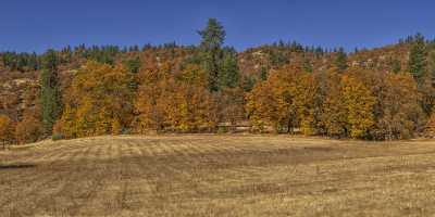 Greenview California Forest Morning Light Colorful Autumn Yellow Fine Art Prints For Sale Landscape - 022691 - 25-10-2017 - 25448x6589 Pixel Greenview California Forest Morning Light Colorful Autumn Yellow Fine Art Prints For Sale Landscape Fine Art Photography Prints For Sale Cloud Flower Island...