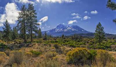 Weed Mount Mt Shasta Volcano Crater View Snow City Fine Art Photography Prints For Sale Sale - 021765 - 23-10-2017 - 12284x7134 Pixel Weed Mount Mt Shasta Volcano Crater View Snow City Fine Art Photography Prints For Sale Sale Fine Art Fotografie Country Road Summer Sky Art Printing Senic...