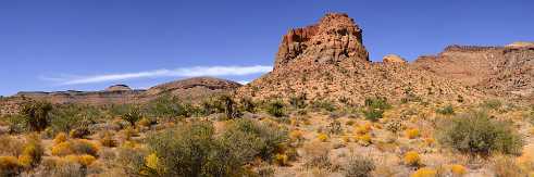 Mojave Desert Mojave Desert - Panoramic - Landscape - Photography - Photo - Print - Nature - Stock Photos - Images - Fine Art Prints -...