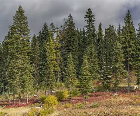 Mccall Maccall - Panoramic - Landscape - Photography - Photo - Print - Nature - Stock Photos - Images - Fine Art Prints - Sale...