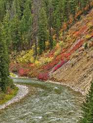 Alpine Wyoming River Tree Autumn Color Colorful Fall Leave Photography Prints For Sale Lake Photo - 011427 - 24-09-2012 - 6822x8987 Pixel Alpine Wyoming River Tree Autumn Color Colorful Fall Leave Photography Prints For Sale Lake Photo Fine Art Printer Fine Art Photography Gallery Fine Art Photos...