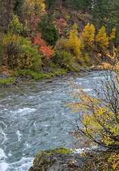 Alpine Wyoming River Tree Autumn Color Colorful Fall Fine Art Posters Snow Forest Art Prints - 015533 - 22-09-2014 - 6750x9724 Pixel Alpine Wyoming River Tree Autumn Color Colorful Fall Fine Art Posters Snow Forest Art Prints Fine Art Photography Gallery Fine Art Pictures Famous Fine Art...