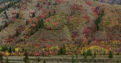 Alpine Wyoming River Tree Autumn Color Colorful Fall Winter Art Prints For Sale City - 015535 - 22-09-2014 - 13185x6812 Pixel Alpine Wyoming River Tree Autumn Color Colorful Fall Winter Art Prints For Sale City Fine Art Fotografie Fine Art Photography Galleries Fine Art View Point Park...