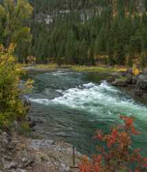 Alpine Wyoming River Tree Autumn Color Colorful Fall Summer Stock Photos Images - 015541 - 22-09-2014 - 6655x7769 Pixel Alpine Wyoming River Tree Autumn Color Colorful Fall Summer Stock Photos Images Fine Art Photography Galleries Fine Art Pictures Art Printing Forest Fine Art...