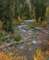 Alpine Wyoming River Tree Autumn Color Colorful Fall Fine Art Photography For Sale Sky - 015552 - 21-09-2014 - 6988x8448 Pixel Alpine Wyoming River Tree Autumn Color Colorful Fall Fine Art Photography For Sale Sky Fine Art Landscape Photography Grass Forest Rain Stock Image Park Stock...